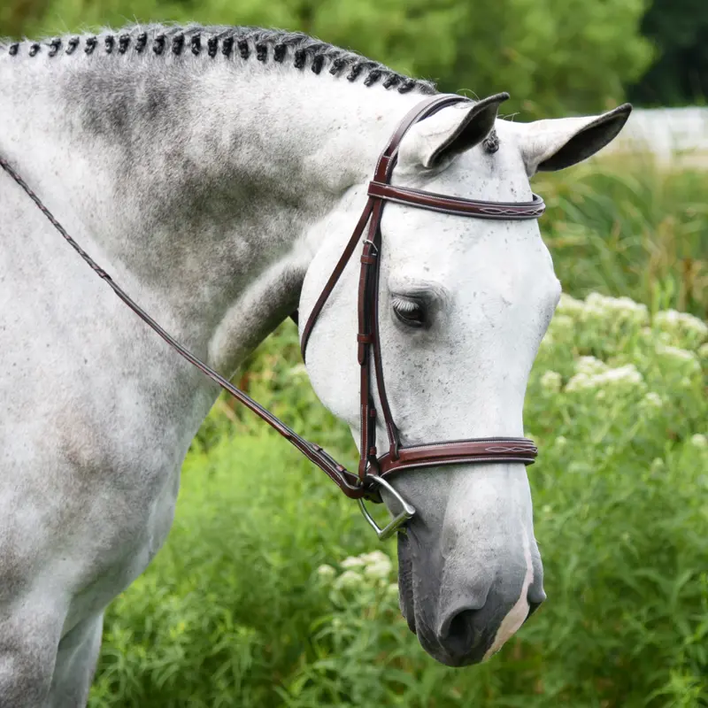Kl Select Italia Middleburg Hunter Bridle 1