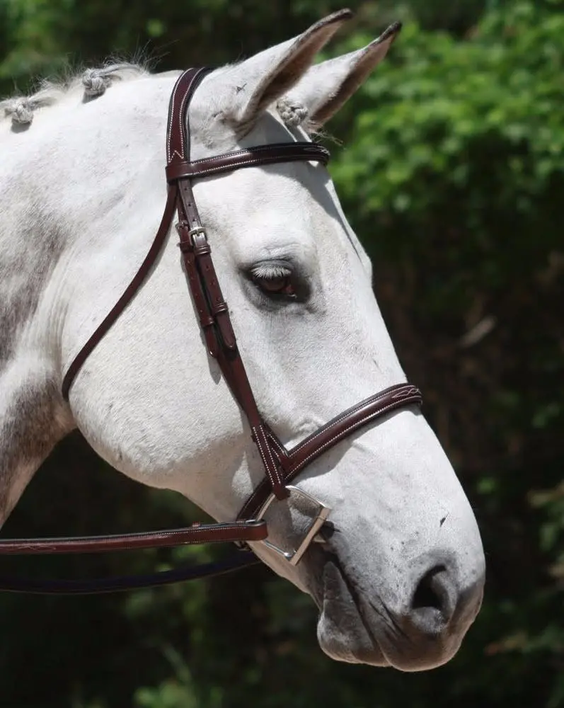 Kl Select Synergy Hunter Bridle 1