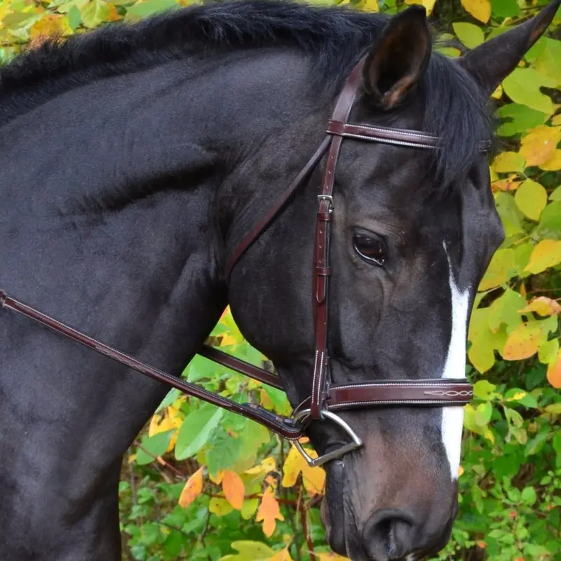 Kl Select Tryon Hunter Bridle 1