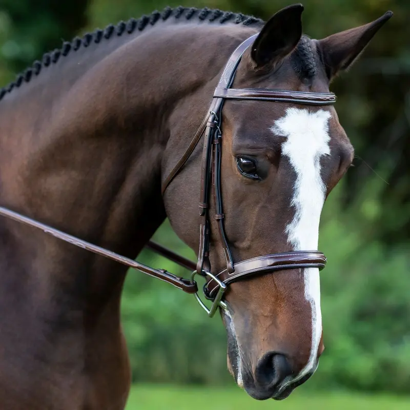 Kl Select Tuscany Hunter Bridle 1