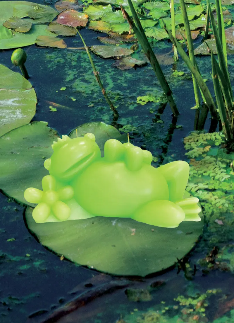 Large Green Frog Candle | Redoux X Collina Strada 1
