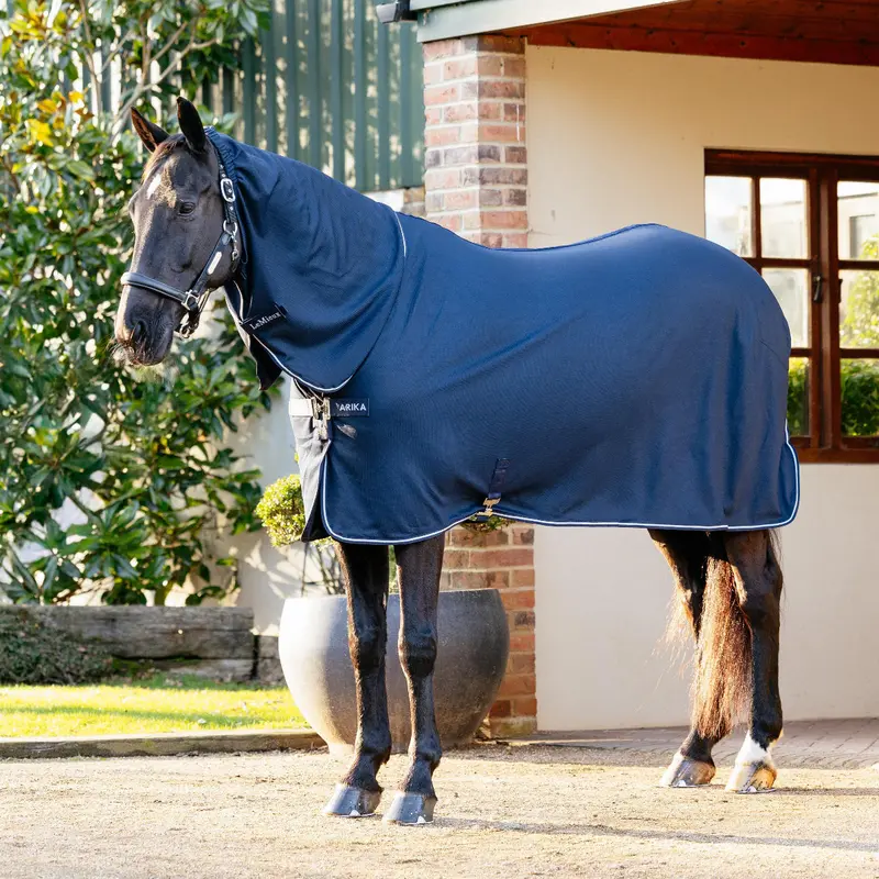 Lemieux Arika Dryease Rug 1