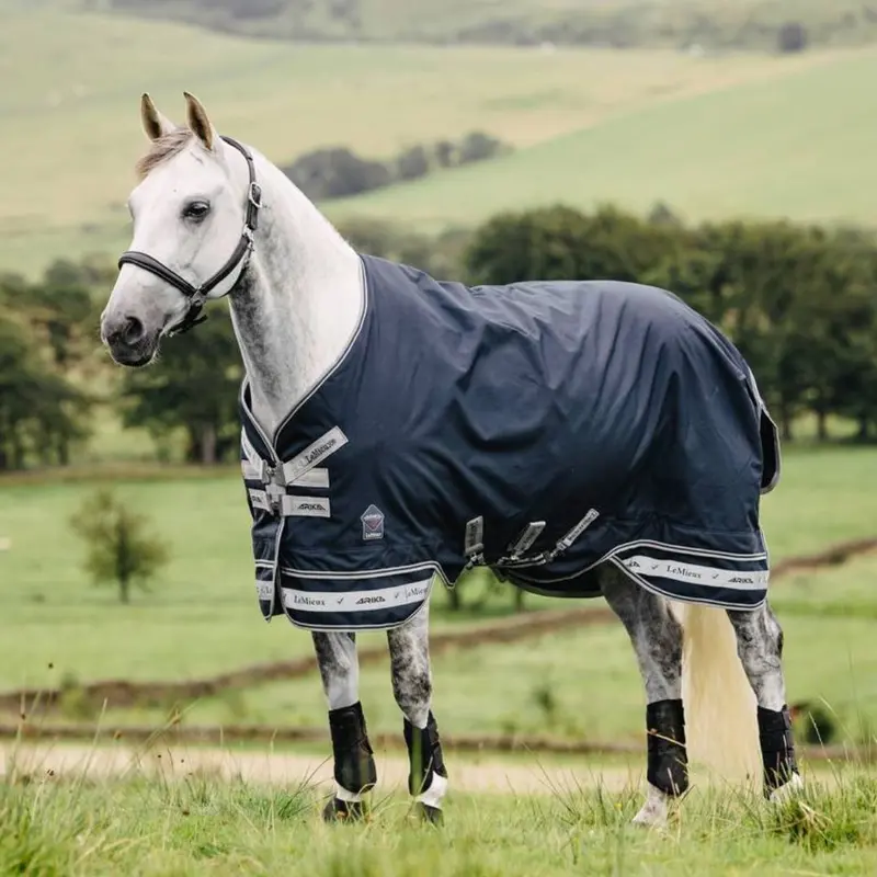 Lemieux Arika Featherweight Rug 1