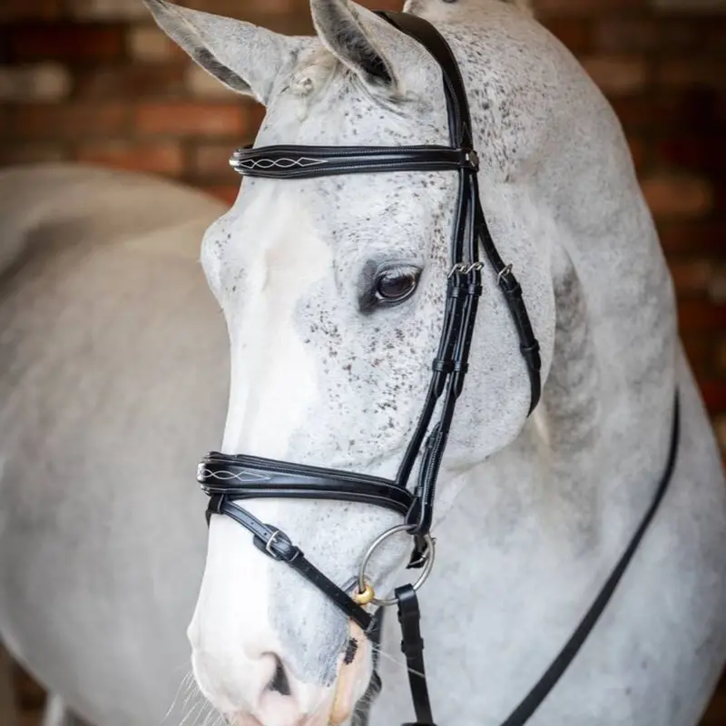 Lemieux Competition Flash Bridle 1