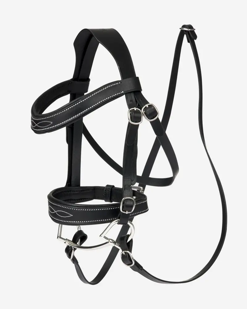 Lemieux Hobby Horse Competition Bridle 1