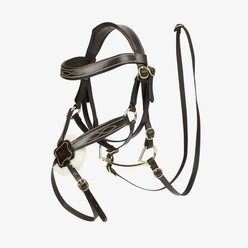 Lemieux Hobby Horse Grackle Bridle 1