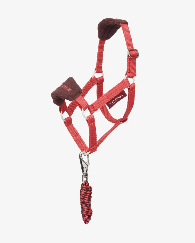 Lemieux Hobby Horse Vogue Halter & Leadrope 1