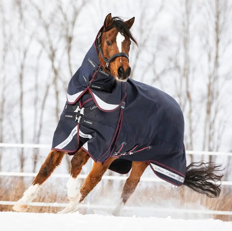 Lemieux Kudos 200G Turnout Blanket 1