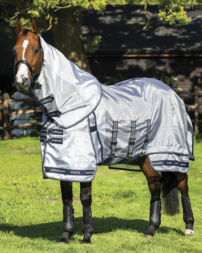Lemieux Kudos Aeroguard Fly Sheet 1