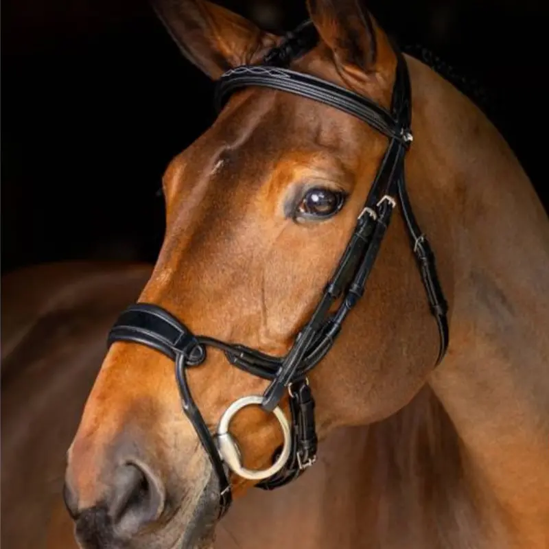 Lemieux Kudos Clear Arc Bridle 1