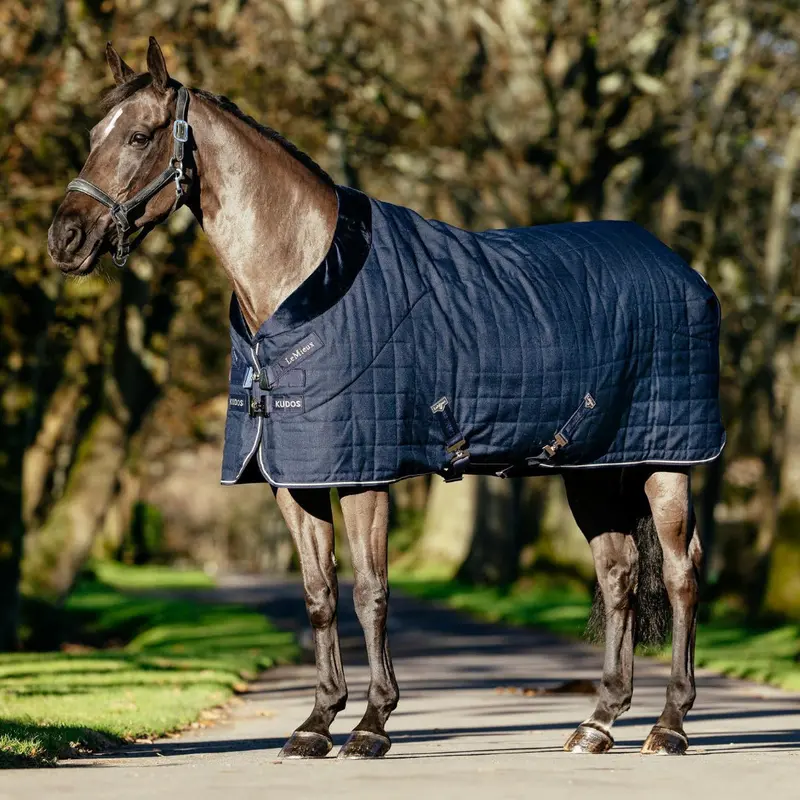 Lemieux Kudos Luxe Lined Stable Rug 1