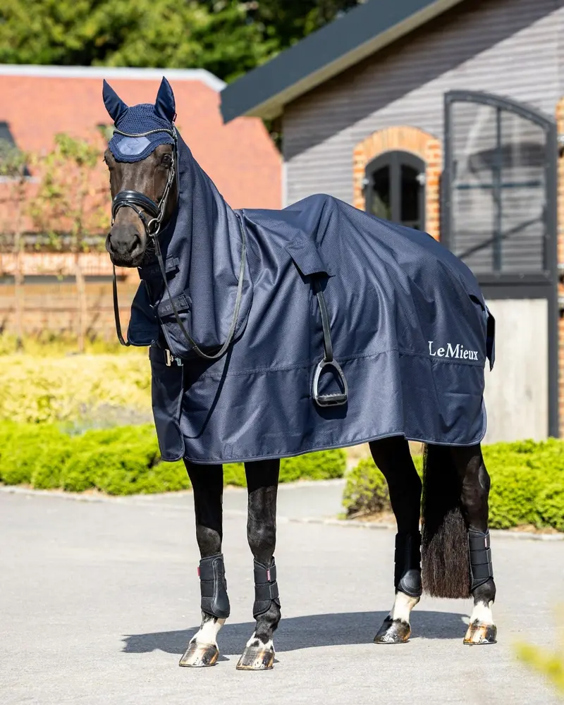 Lemieux Rain Sheet 1