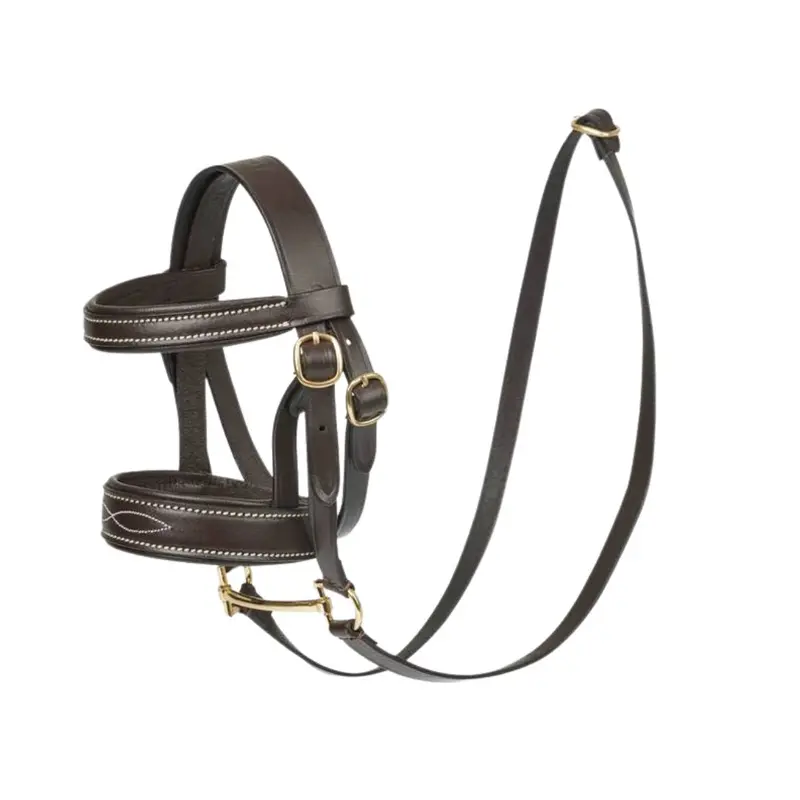 Lemieux Toy Pony Bridle 1