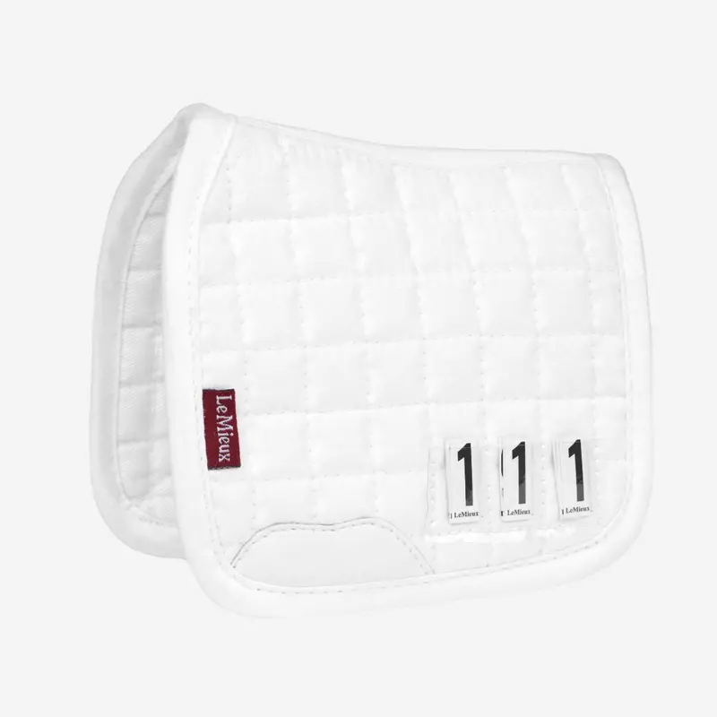 Lemieux Toy Pony Dressage Square 1