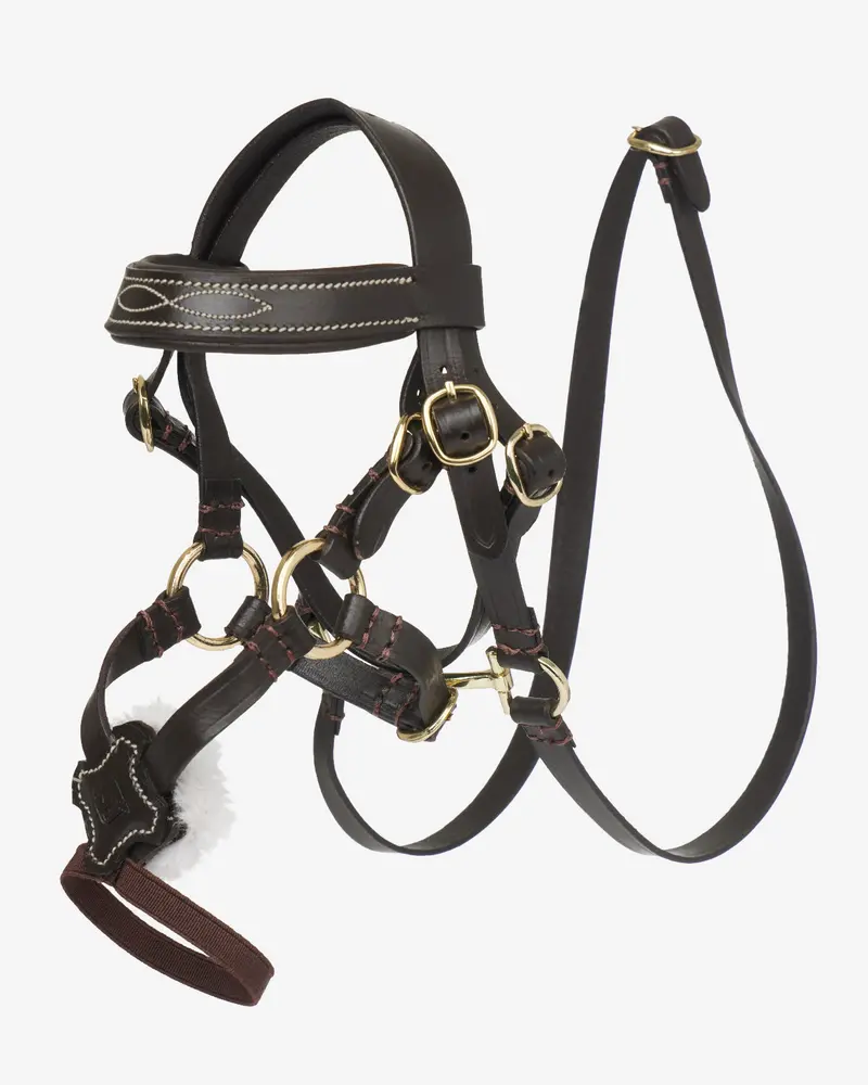 Lemieux Toy Pony Grackle Bridle 1