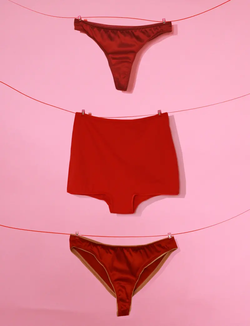 Made My Wardrobe Ava, Agnes & Sofia Briefs 1