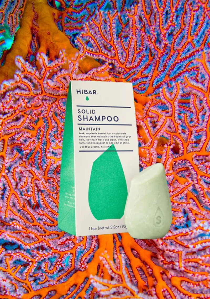 Maintain Shampoo Bar | Hibar 1