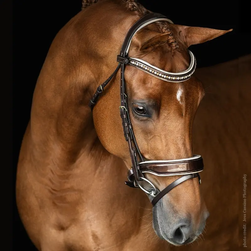 Malvern Saddlery Bronzini Bridle 1