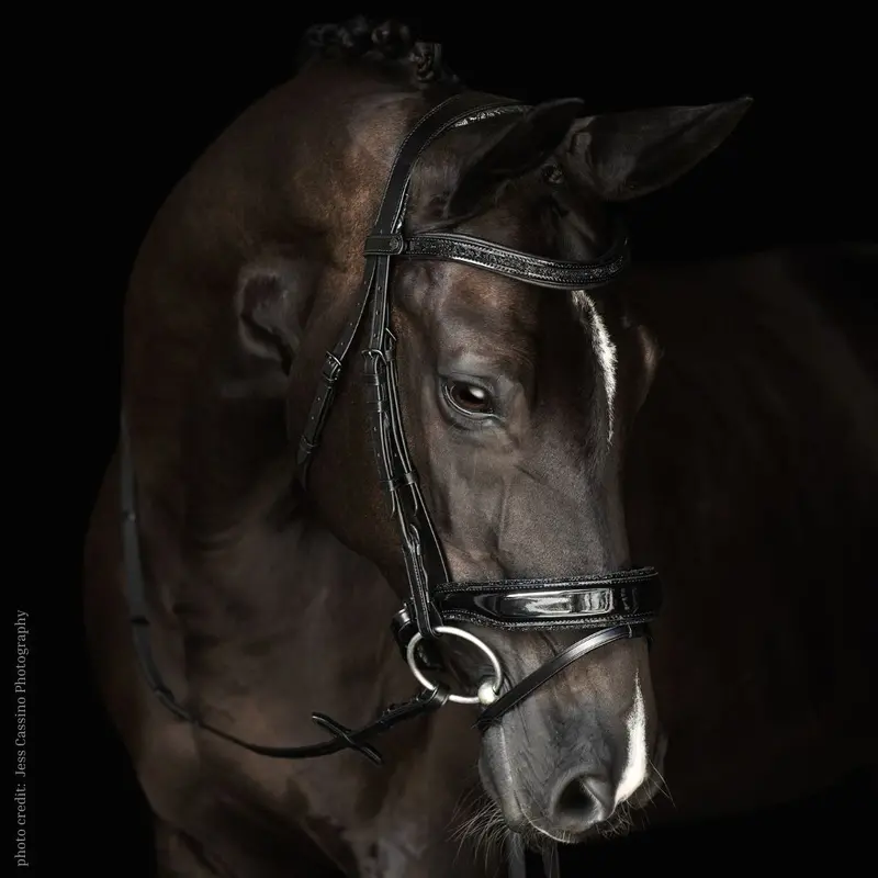 Malvern Saddlery Centerline Baroque Dressage Bridle 1
