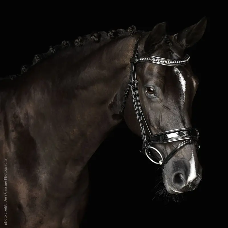 Malvern Saddlery Patently Dressage Bridle 1