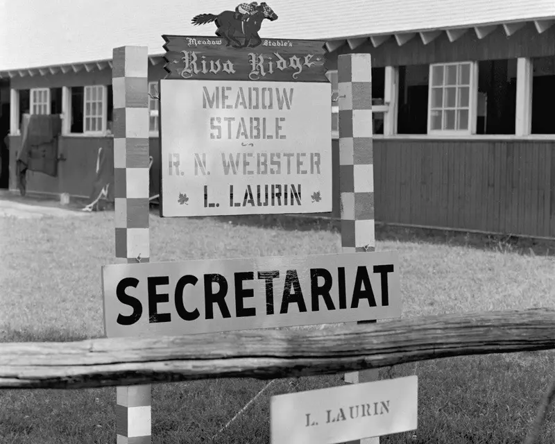 Meadow Stables Belmont Barn 1