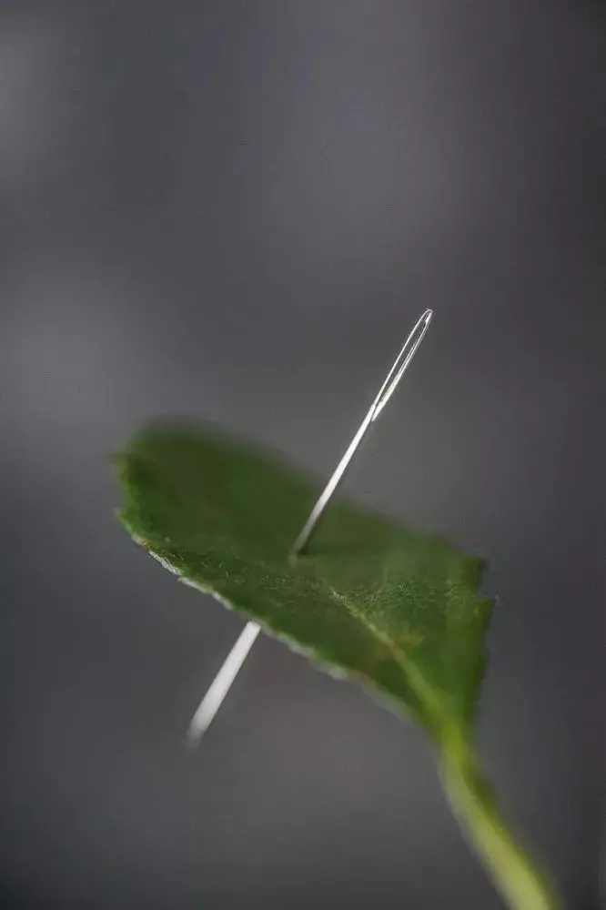 Merchant & Mills Chenille Needles 1