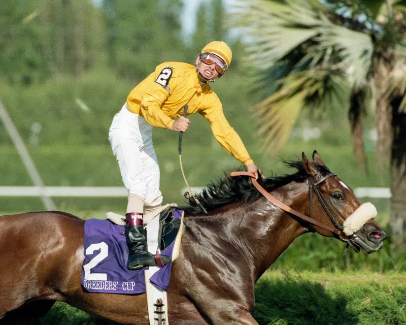 Mike Smith, Lure Breeders Cup Win 1