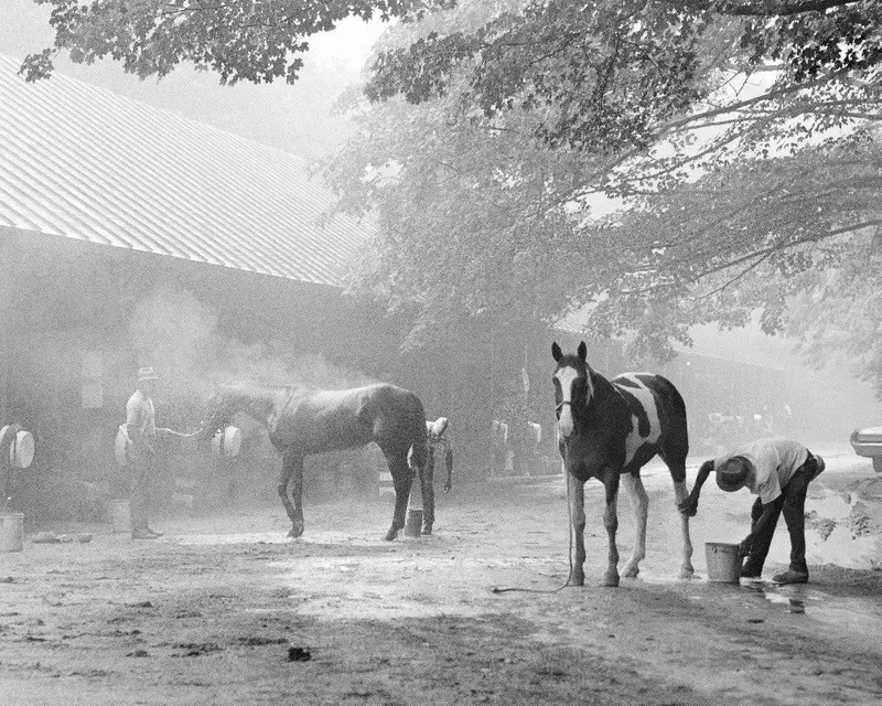 Morning Bath At Saratoga, 1968 1