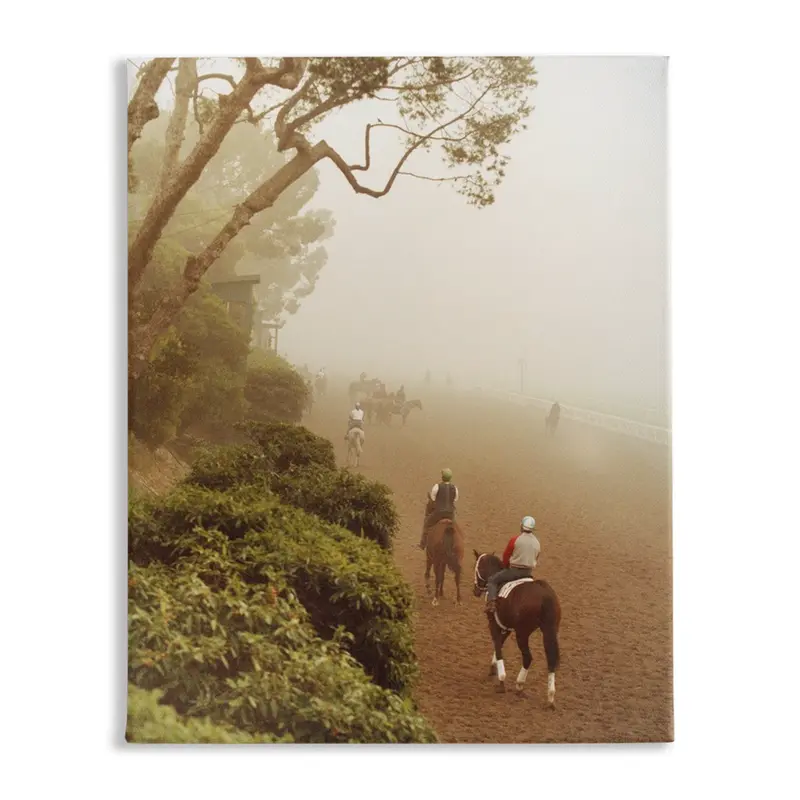 Morning Fog, Stretched Canvas 1