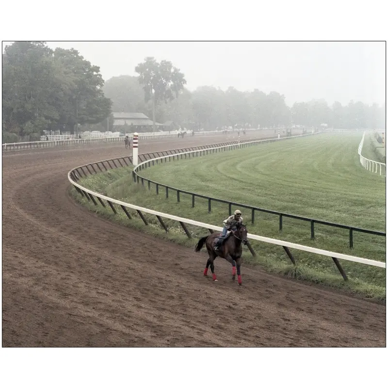 Morning Workout, Saratoga 1978 1