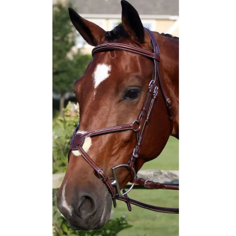 Nunn Finer Milano Figure Eight Bridle 1
