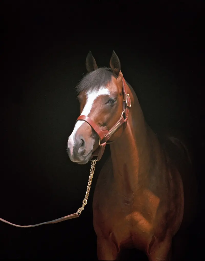 Nureyev In Black Background 1