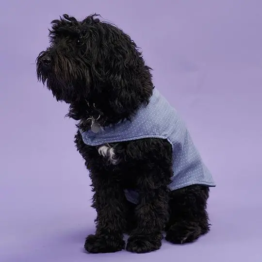 Poppy & Jazz Poppy Dog Coat - Printed Copy Shop (+£5.00) 1