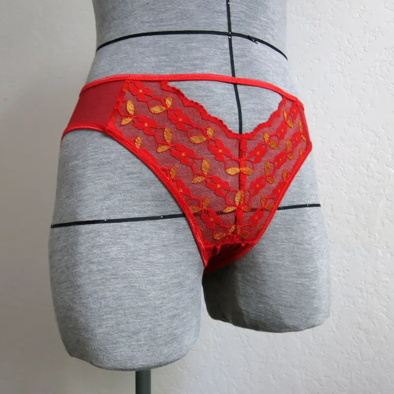 Primrose Dawn Tulip Hi-Cut Panty Pdf 1