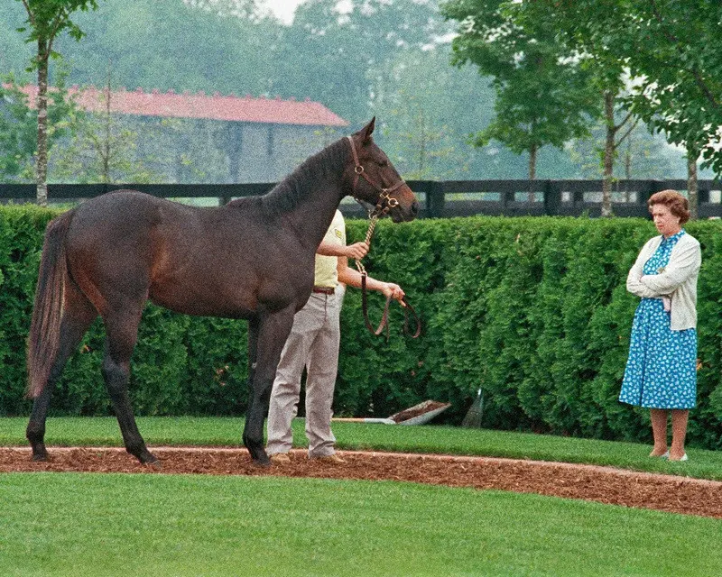 Queen Elizabeth Ii Viewing A Foal 1
