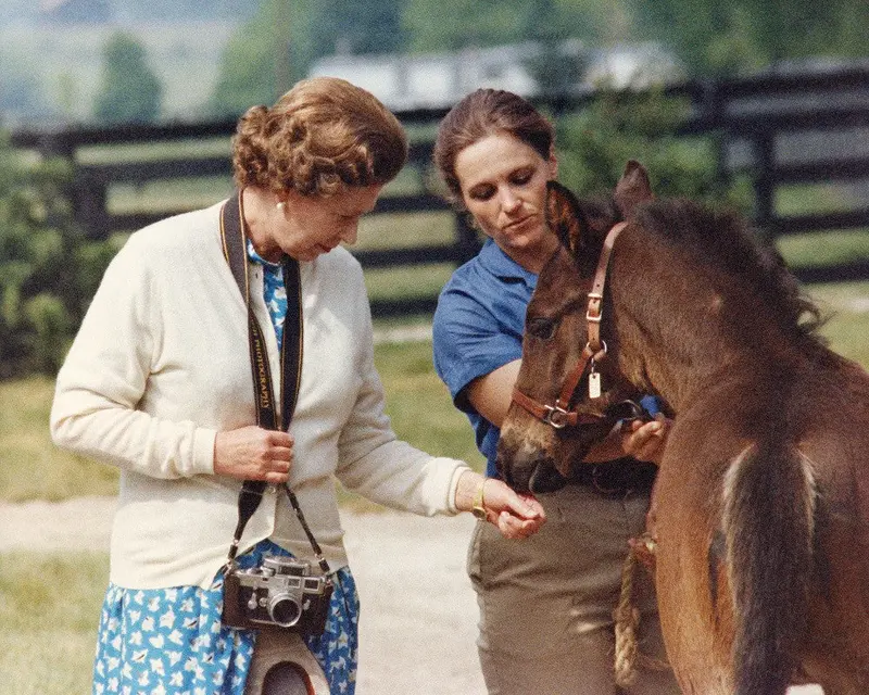 Queen Elizabeth Ii With Foal 1