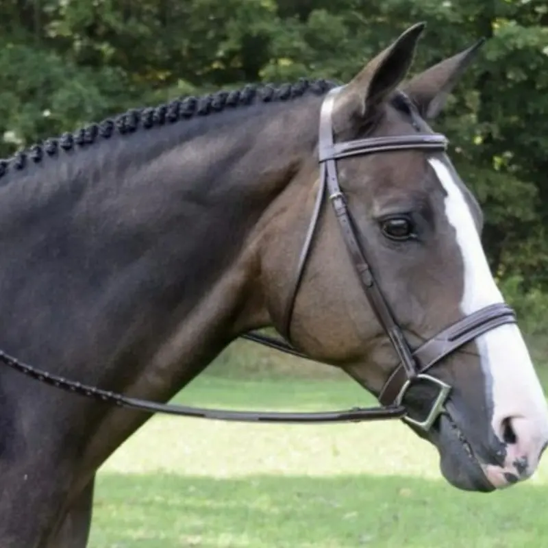 Red Barn Sonoma Hunter Bridle 1