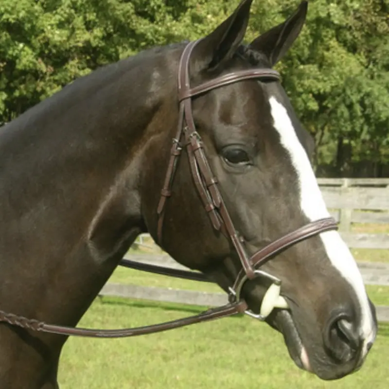 Red Barn Sovereign Hunter Bridle 1