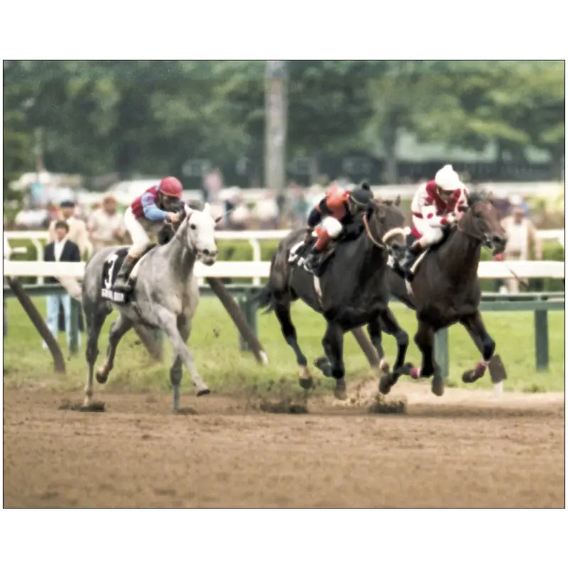 Runaway Groom, Saratoga 1