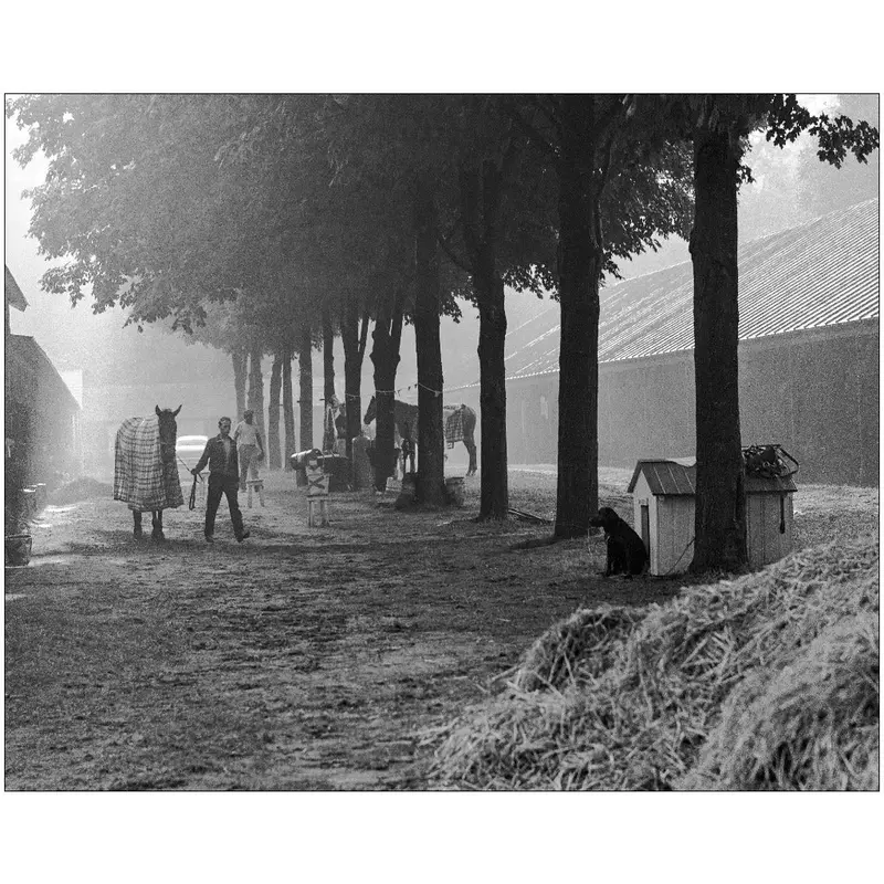 Saratoga Barns, 1960'S 1