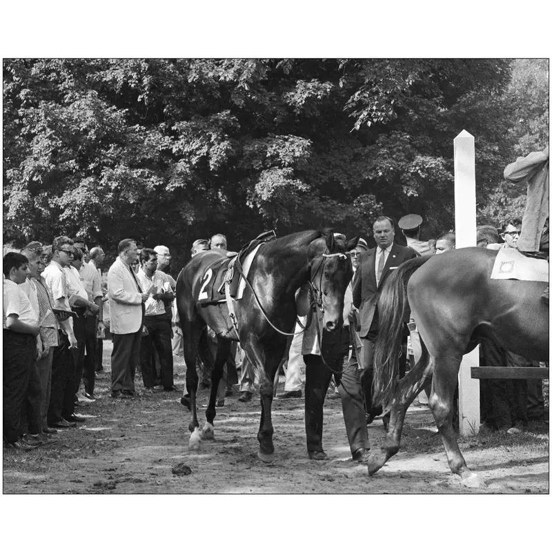Saratoga Paddock, 1968 1
