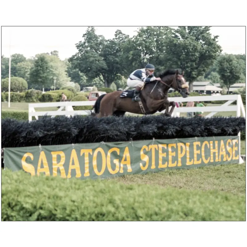Saratoga Steeplechase 1