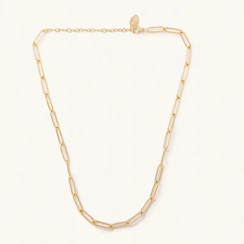 Sasha Gold Chain Necklace- Waterproof 1