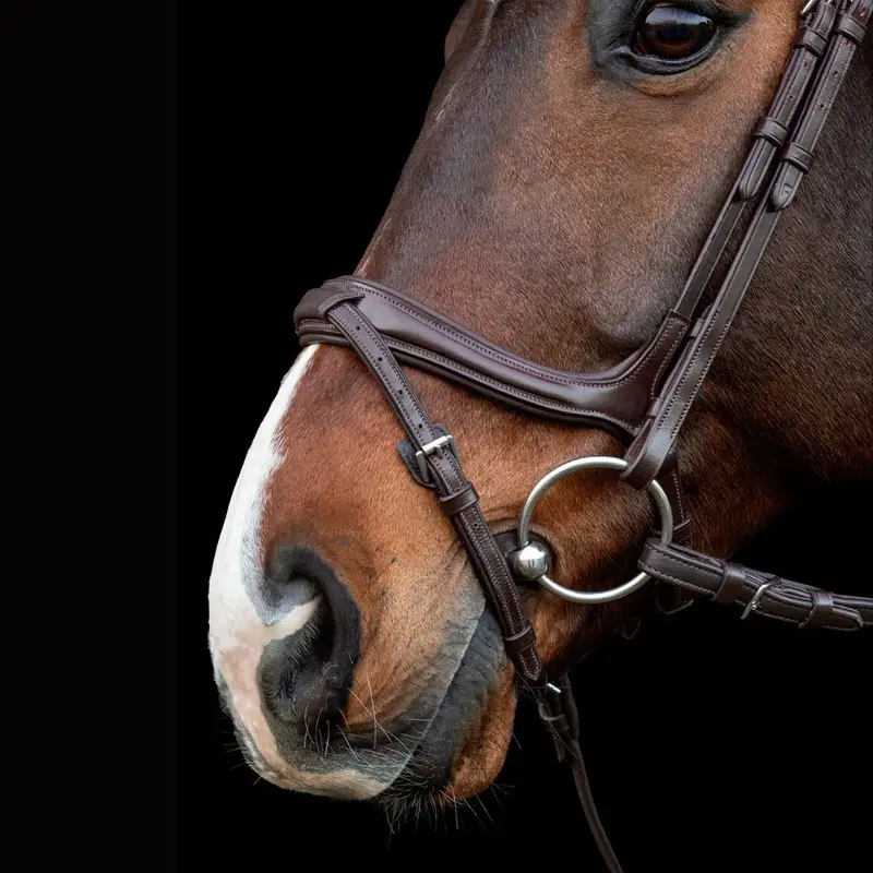 Schockemöhle Ancona Select Bridle 3