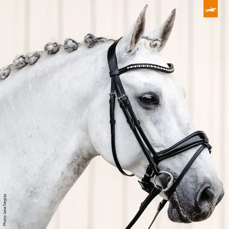 Schockemöhle Brantford Anatomic Bridle 1