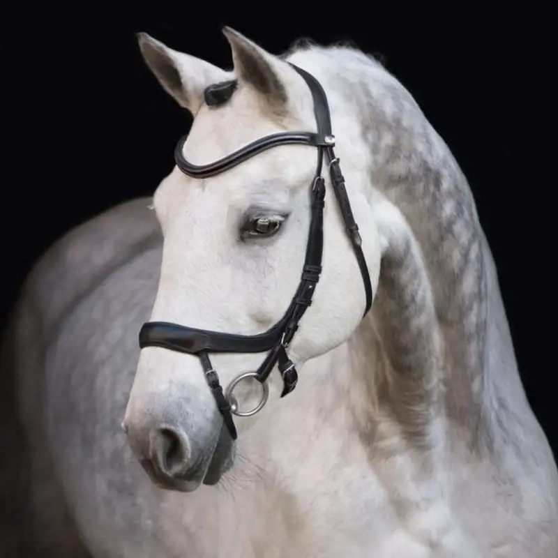 Schockemöhle Equitus Alpha Jumper/Dressage Bridle 1