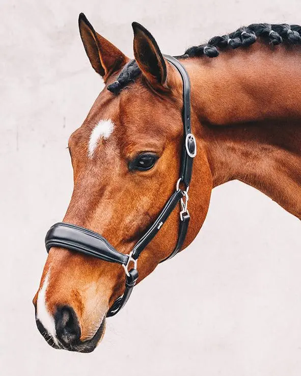 Schockemöhle Fremont Anatomic Halter 1