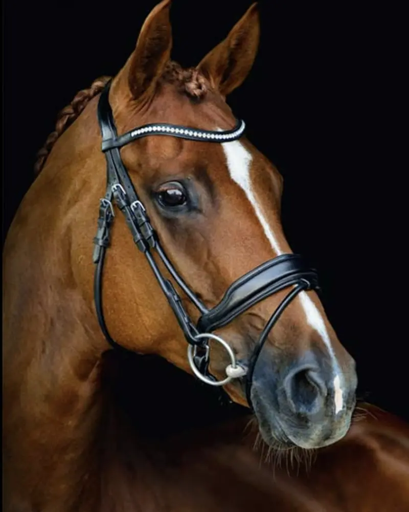 Schockemöhle Malibu Anatomic Dressage Bridle 1