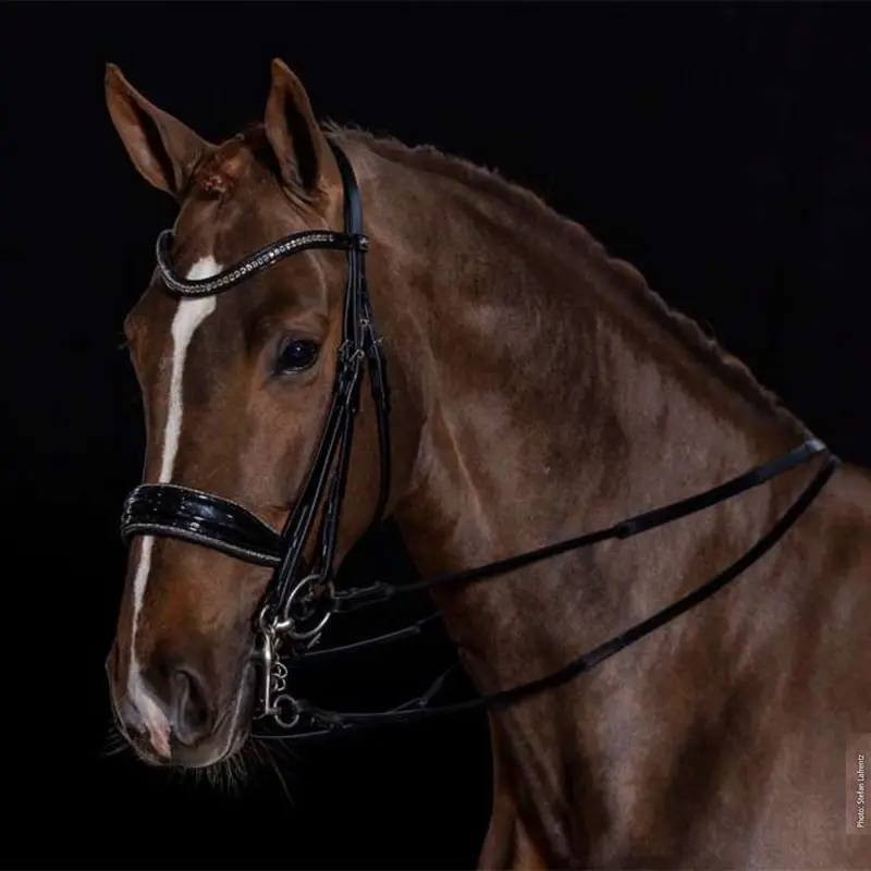 Schockemöhle Milan Glam Dressage Bridle 1