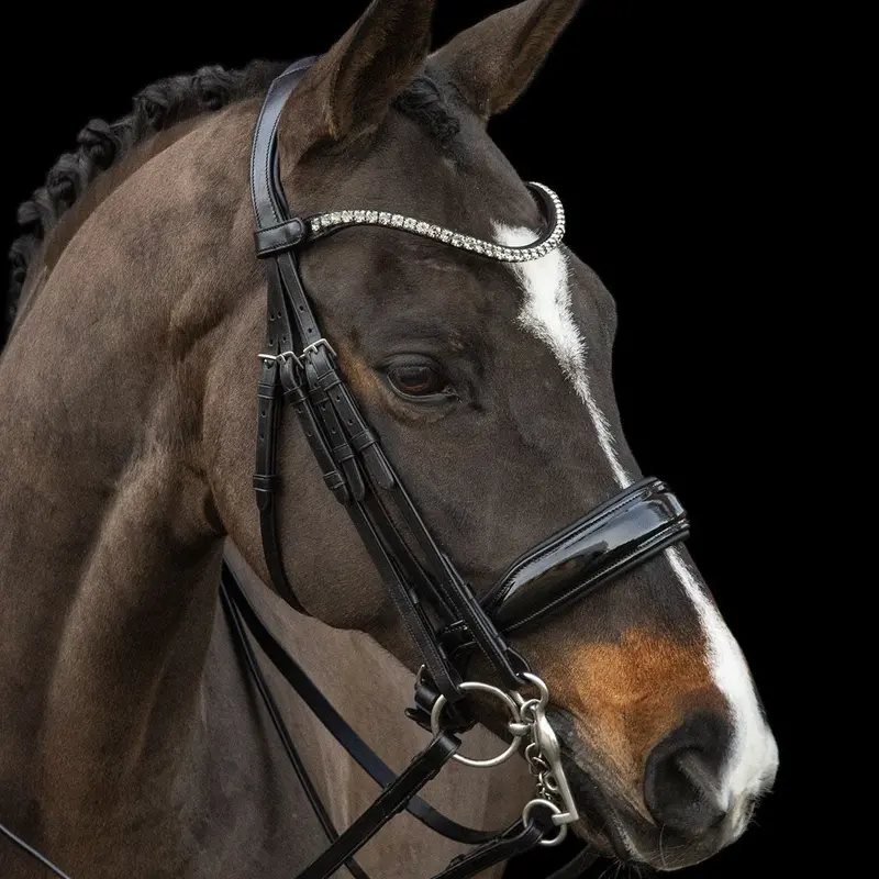 Schockemöhle Milazzo Dressage Double Bridle 1